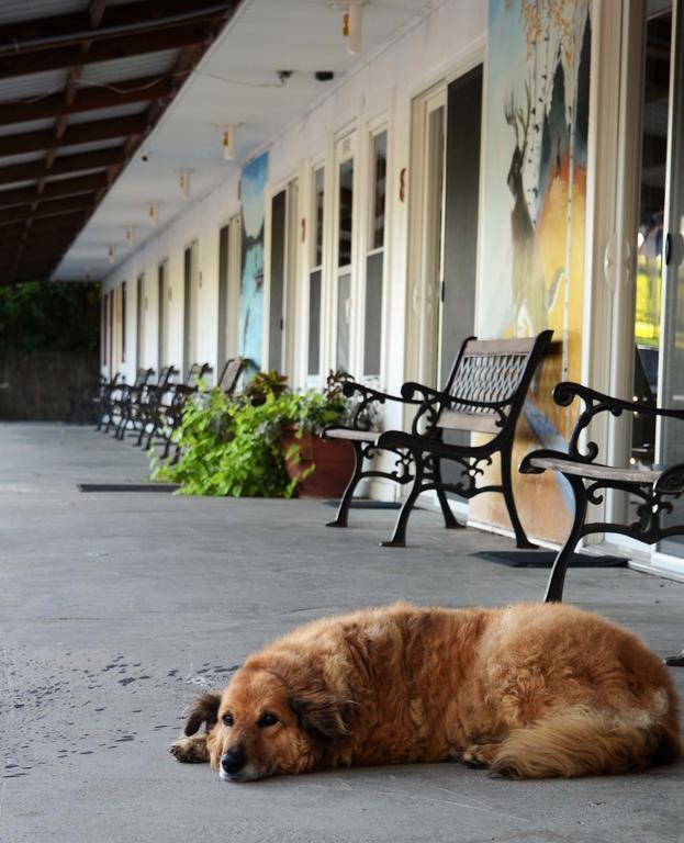 Little River Inn Motel Leon Εξωτερικό φωτογραφία